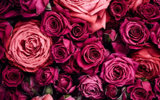 1550105 (a): :2560x1600